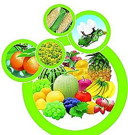 切開的哈密瓜產(chǎn)品工業(yè)圖片_切開的哈密瓜產(chǎn)品工業(yè)素材_切開的哈密瓜產(chǎn)品工業(yè)