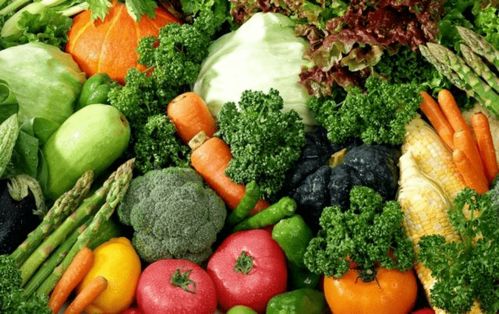 守好 菜籃子 ,鼓起 錢袋子 ,更樓街道打造精品蔬菜基地共富聯合體